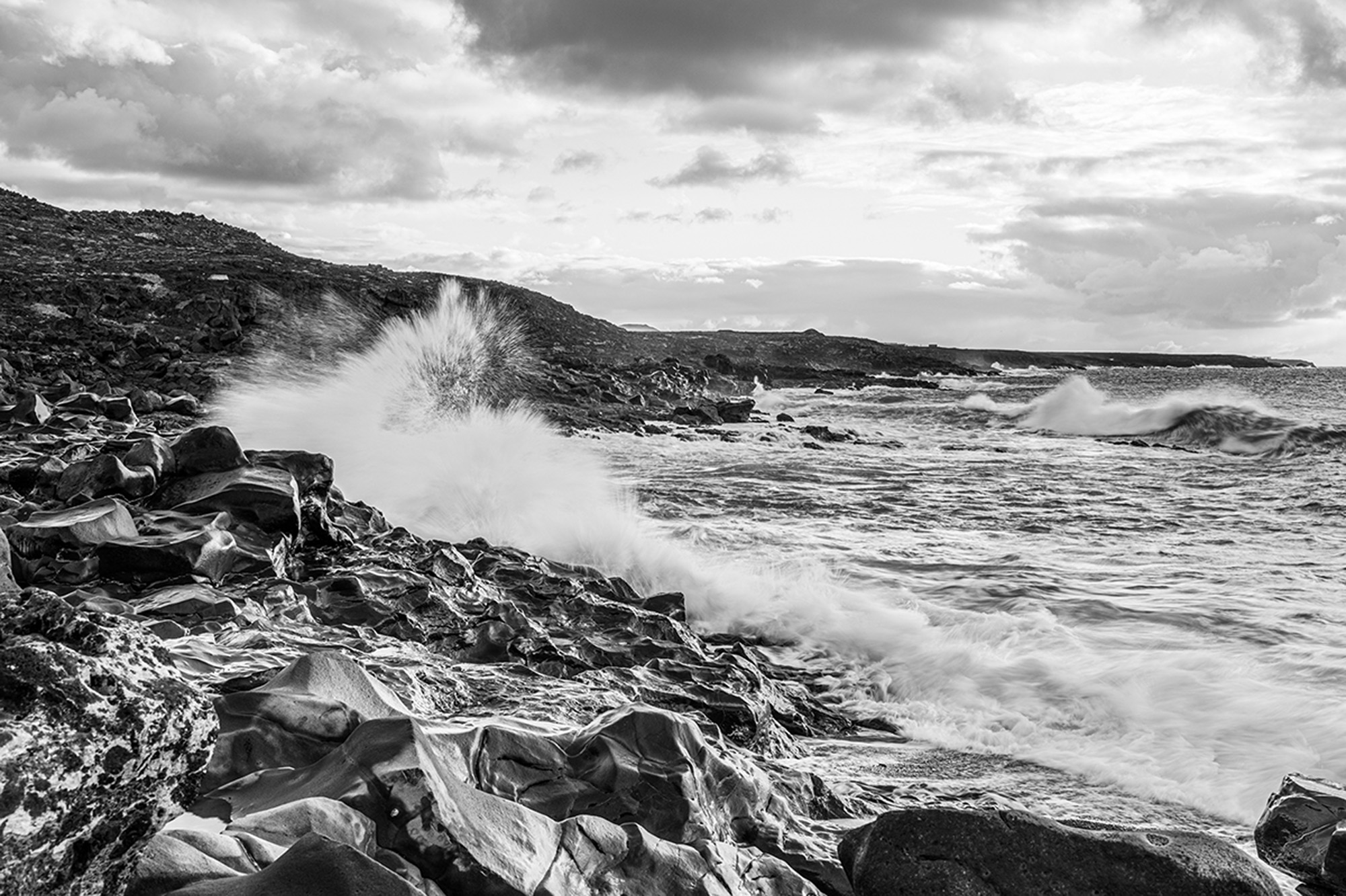 wasser-ist-unser-element